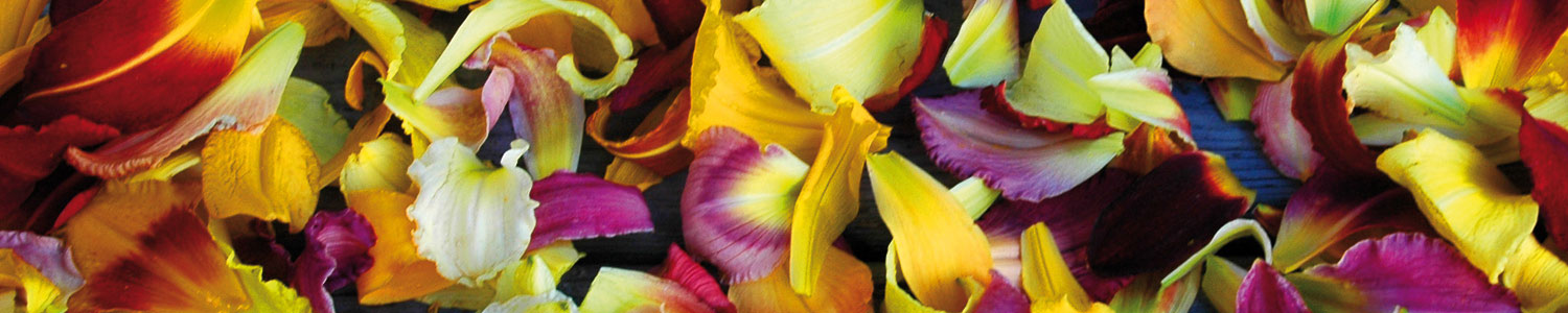 Mass-petals-wide-