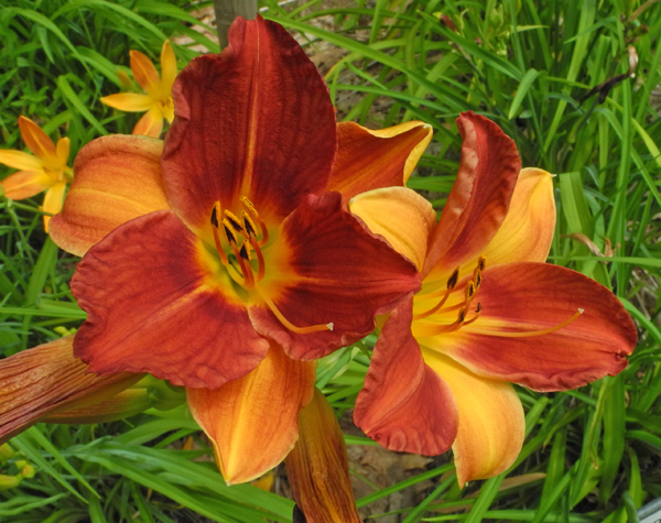 78-21-a-600px