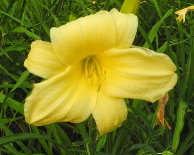 7-8-2018-600px