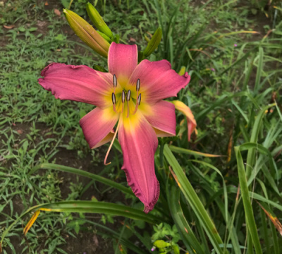 fondly-kin-0823-500px