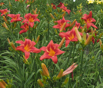 olallie-burton-r-723-500px